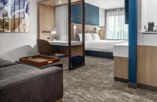 Charlotte Hotel | SpringHill Suites by Marriott Charlotte Airport Lake Pointe