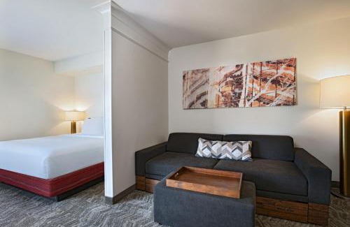 Las Colinas Hotel | SpringHill Suites by Marriott Dallas DFW Airport East Las Colinas Irving