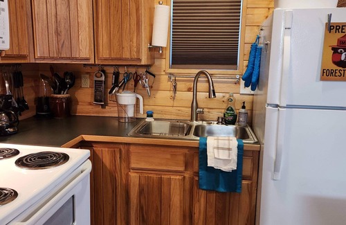 Fairbanks Cabin | Springwater Retreat S
