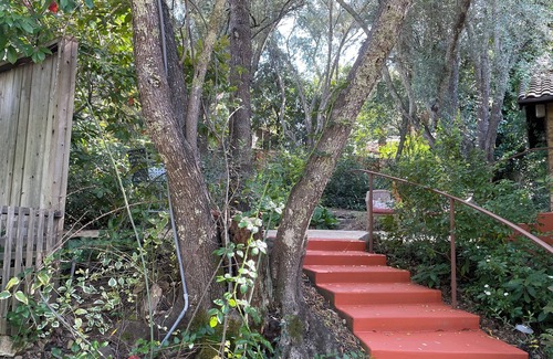 St. Helena House | St. Helena Cozy Hillside Villa