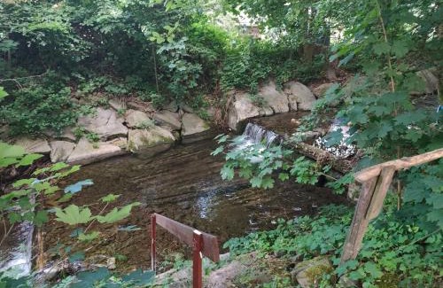 Moravka Other | Standa - Camp pod kaštany