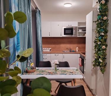 Brno-stred Apartment | Star Apartments Brno #2D215 by Starbnb EU