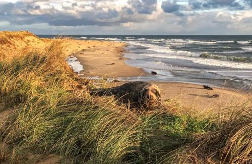 Winterton-on-Sea House | Starboard Cottage