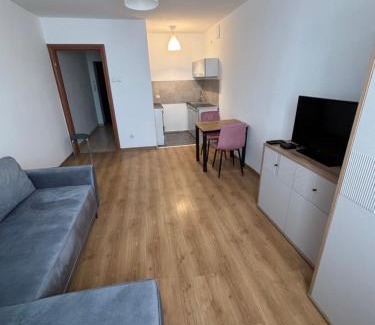 Malbork Apartment | Stare Miasto 10