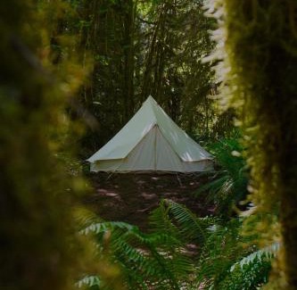 Port Angeles Other | Starlight Olympic Glamping