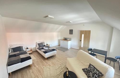 Libice nad Cidlinou Hotel | Statek