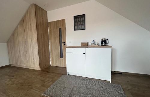 Libice nad Cidlinou Hotel | Statek