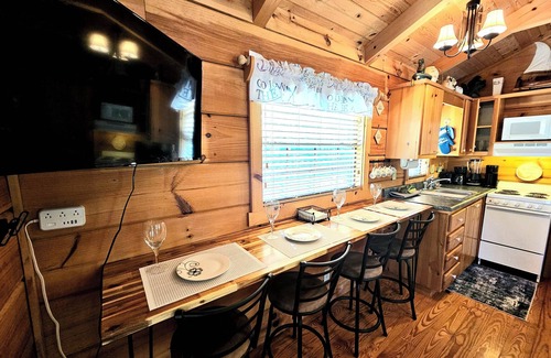 Sevierville Cabin | Stay 4 Nights Pay 3 Now–Dec 2025, Excludes Holidays! Douglas Lakeview 1BR Cabin
