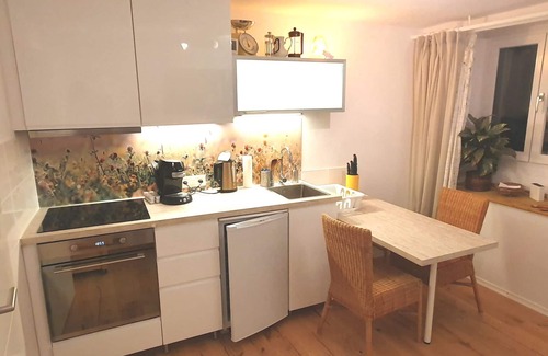 St. Gallen Apartment | Stay in a stylish 1 room studio quiet central top location, 10 min to the center