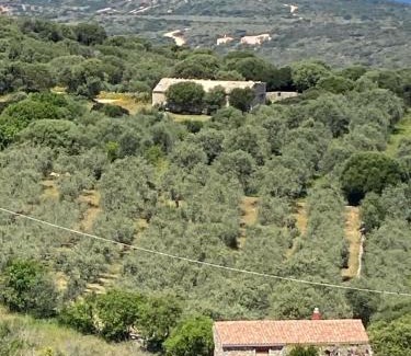 Trinita d'Agultu House | Stazzo Isola Rossa di Gallura