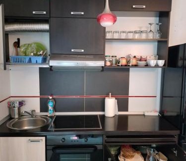 Iasi Apartment | Stefan Apart Iași centru Palas
