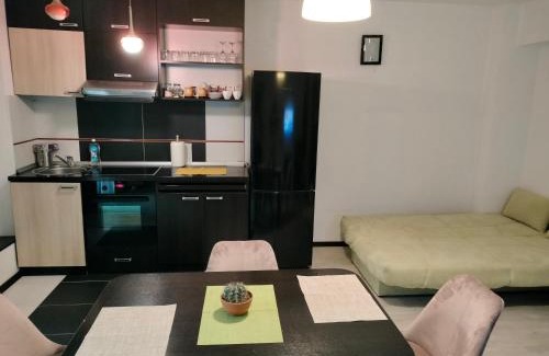 Iasi Apartment | Stefan Apart Iași centru Palas