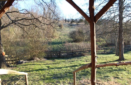 Jonesborough Cabin | Step back in time a charming 1880 historic cabin