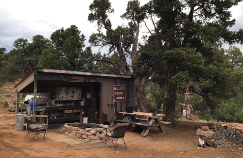 Monticello Apartment | Step into a converted school bus for an unforgettable stay.