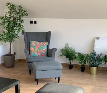 Gdow Apartment | Stodoła Chillout Apartments