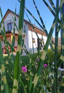Brenna Villa | Stodoła