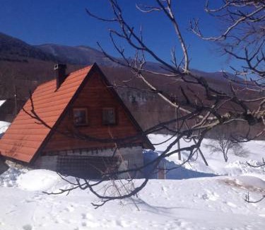 Krasno Polje Ski Chalet | Stone House 1866