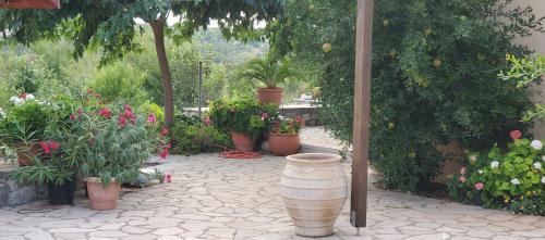 Fokiano House | Stone House in a quiet landscape, Leonidion