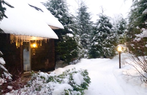 Stratton Mountain House | Stratton 4 bed (3 plus loft and basement sleeping) with Shuttle & Rec Room