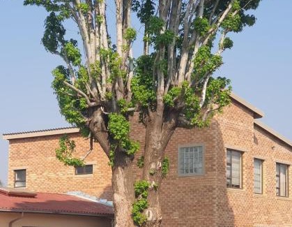 Greater Johannesburg Metropolitan Area Apartment | Strictly Halaal Brand New Self Catering Apartment