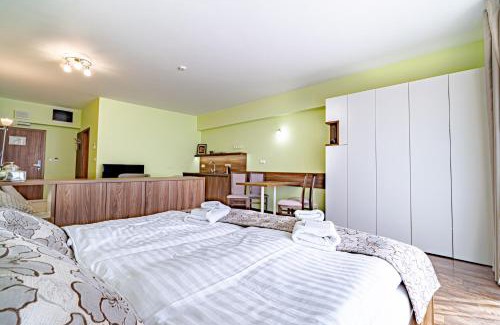 Stary Smokovec Apartment | Studio A205 Hrebienok resort Starý Smokovec with garage