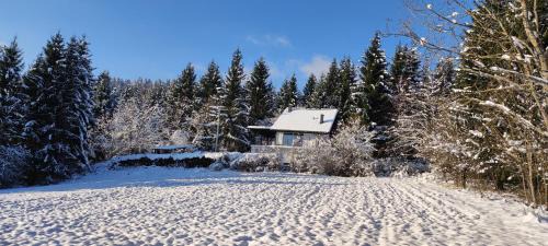 Presika Apartment | Studio apartman Singer