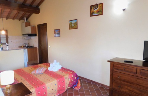 Terricciola Other | Studio apartment in farmhouse with wine production
