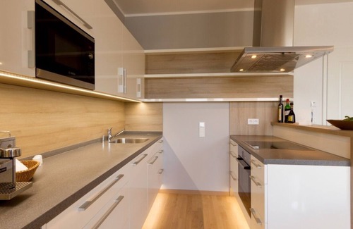 Wilsdruffer Vorstadt/Seevorstadt-West Apartment | Studio apartment in the old town of Dresden, kitchen, shower, service