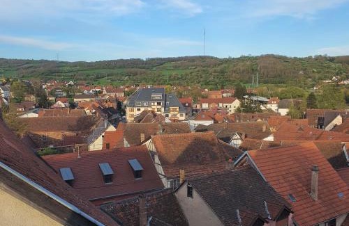 Wasselonne Apartment | Studio atypique avec superbe vue