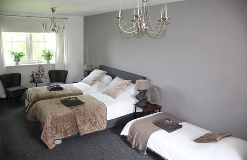 Assendelft Bed & Breakfast | Studio-Bed and Breakfast for both business and leisure stays. Private entrance.