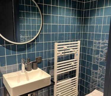 Altkirch Apartment | Studio bleu meublé de tourisme 2 personnes