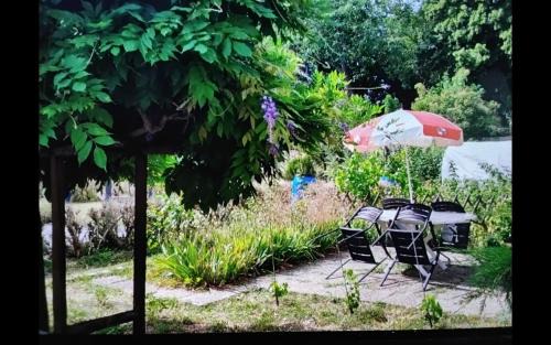 Ingersheim Apartment | Studio côté jardin
