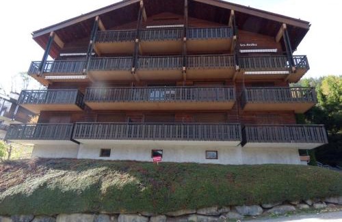 Le Grand-Bornand Apartment | Studio + Cabine 27m² Sud - 4 pers, Grand Bornand, balcon, proche commerces et pistes - FR-1-458-120