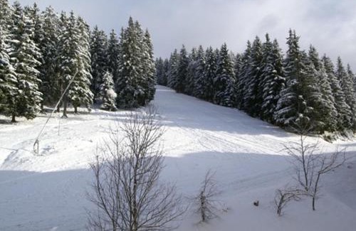 Prapoutel Apartment | Studio cabine 4 pers pied des pistes, Les Adrets-Prapoutel - FR-1-557-39