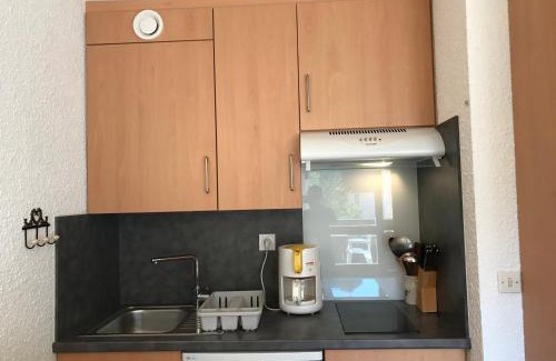 Correncon-en-Vercors Apartment | Studio cabine au pied des pistes de Corrençon-en-Vercors - FR-1-515-70