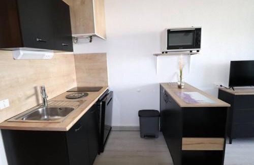 Le Grau-Du-Roi Apartment | Studio cabine refait à neuf, piscine, proche plage et commerces - FR-1-307-241