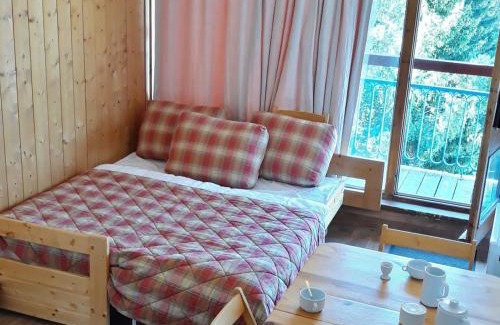 Arc-1800 Apartment | Studio Charvet 4 Pers, Balcon, Pied des Pistes, Parking, Ascenseur - FR-1-346-471