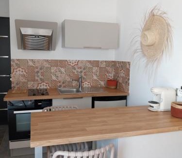 Bidart Apartment | Studio Cocon Enea Bidart, terrasse et parking