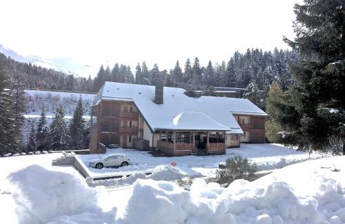 Laveissiere Apartment | Studio cosy au Lioran - Vue montagne, Lit Queen, Parking privé - Ménage inclus