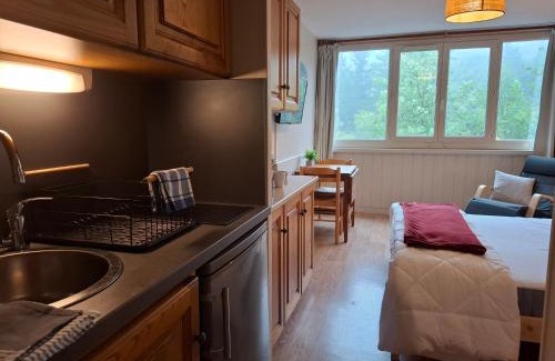 Laveissiere Apartment | Studio cosy au Lioran - Vue montagne, Lit Queen, Parking privé - Ménage inclus