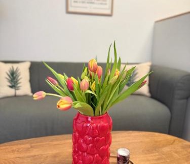 Sud Apartment | Studio cosy en Provence avec parking Le Monaco