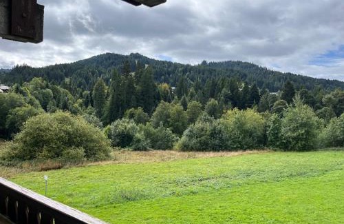 Les Gets Apartment | Studio cosy proche du centre