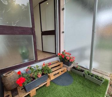 Gaillard Apartment | Studio Cosy - Proche frontière