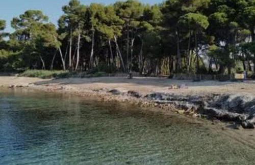 Saint-Mandrier-sur-Mer Apartment | Studio cozy proche de la mer