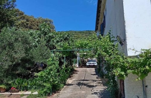 Martinscica Apartment | Studio flat near beach Martinšćica, Cres (AS-23980-a)