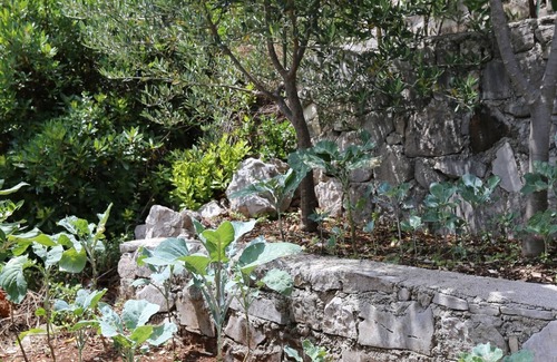 Putnikovic Apartment | Studio flat near beach Kabli, Pelješac (AS-10221-a)