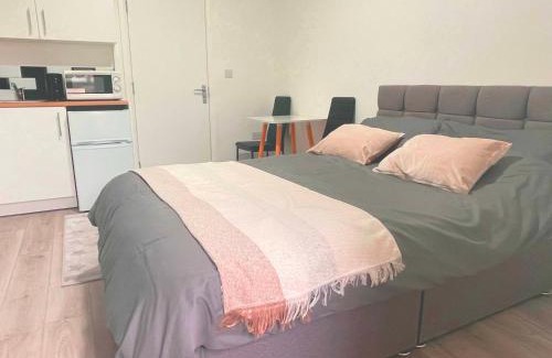 Tottenham Green Apartment | Studio flat private bathroom wc and kitchenette