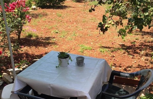 Bozava Apartment | Studio flat with terrace Božava, Dugi otok (AS-8108-a)