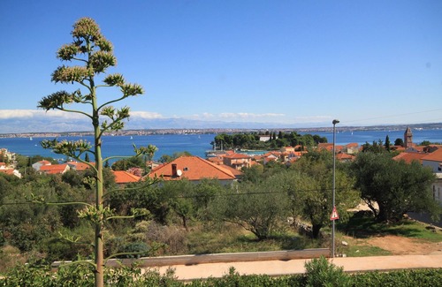 Preko Apartment | Studio flat with terrace and sea view Preko, Ugljan (AS-8224-b)