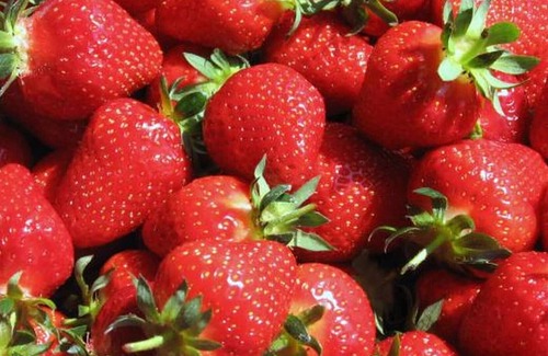 Rasteau Apartment | STUDIO IN RASTEAU Peaceful wine-growing village of Cotes du Rhône